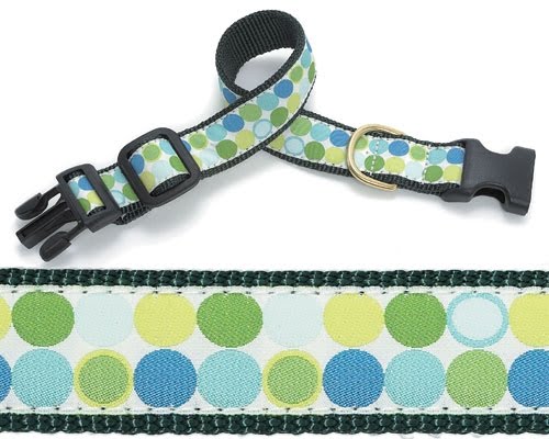 [bluemoderndotsdogcollarleash.jpg]