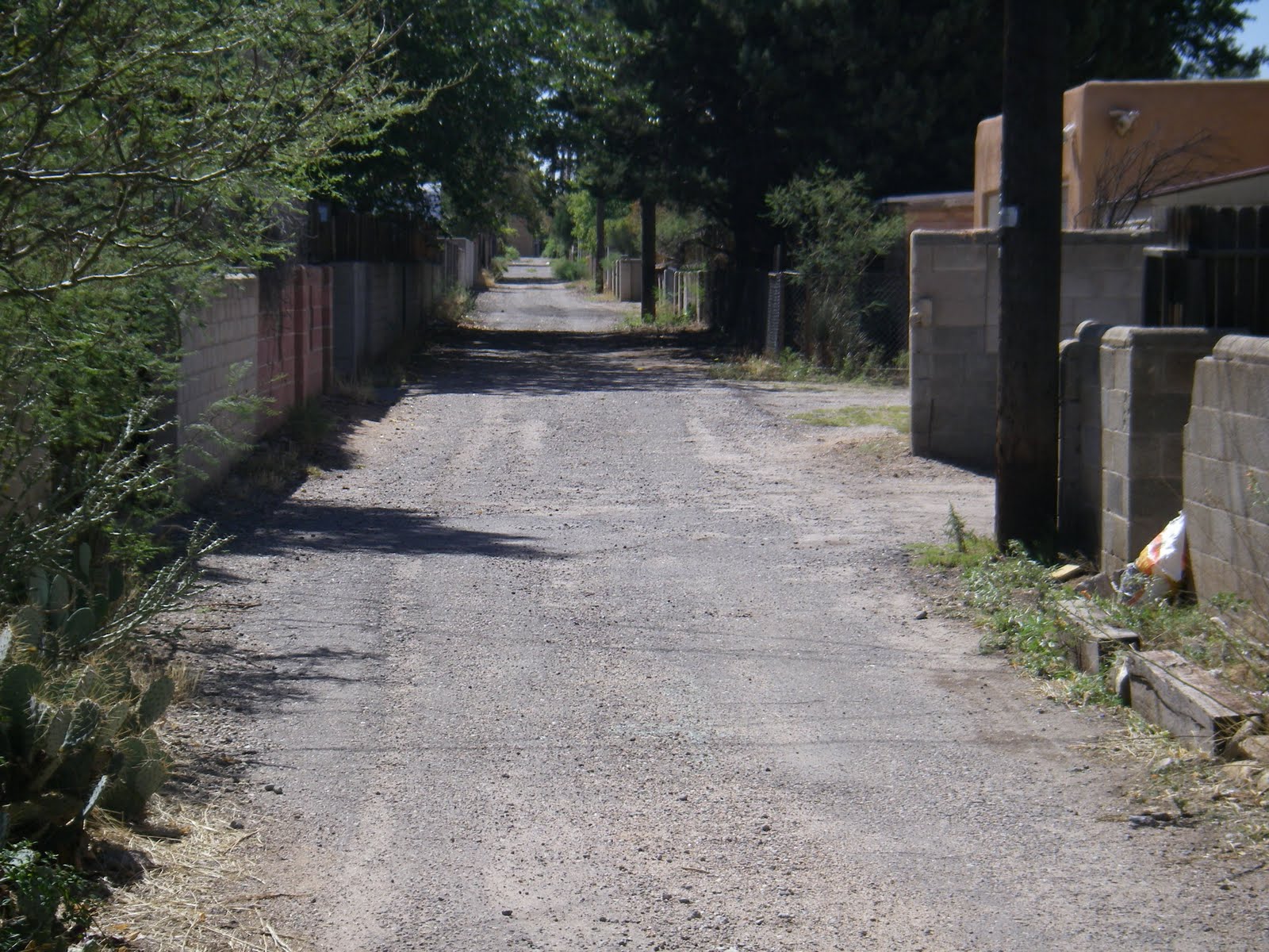 sometimes far afield back alley