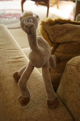 stuffed camels