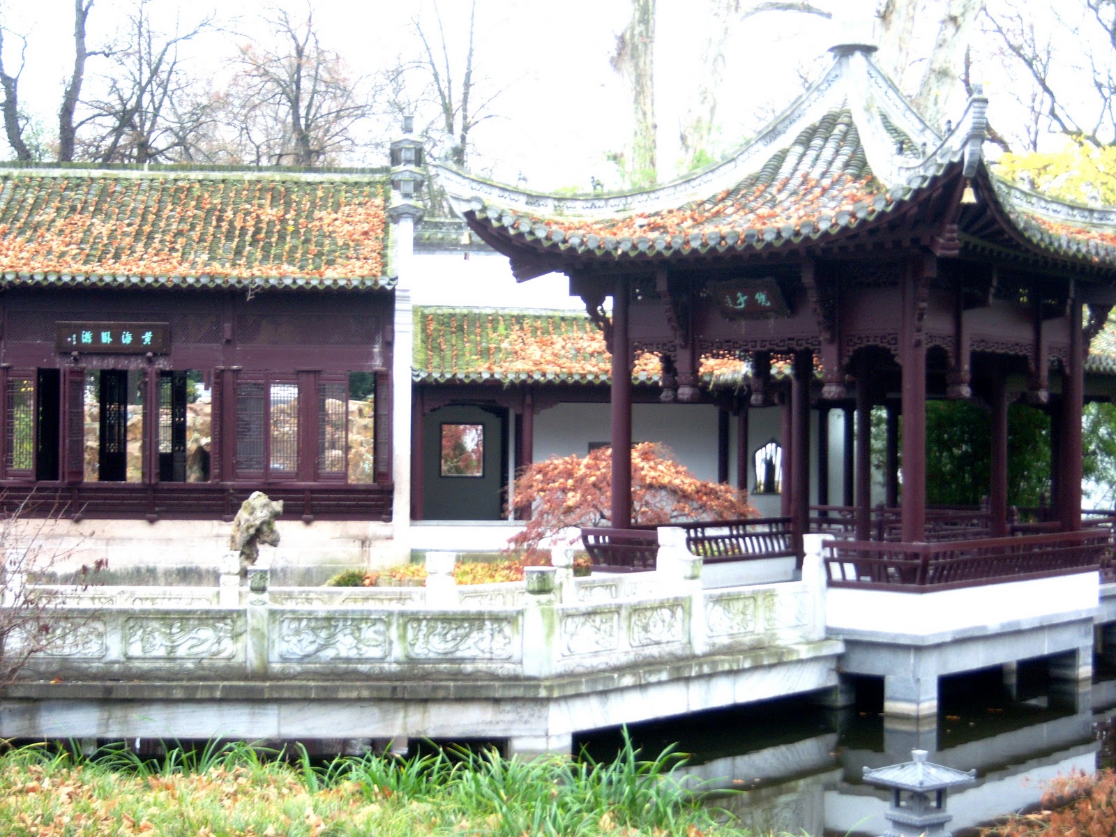 Chinesischer Garten In Frankfurt