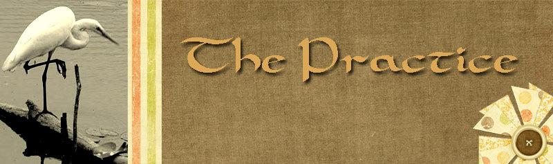 THE PRACTICE -PHOTO