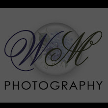 Waters Mill Photography