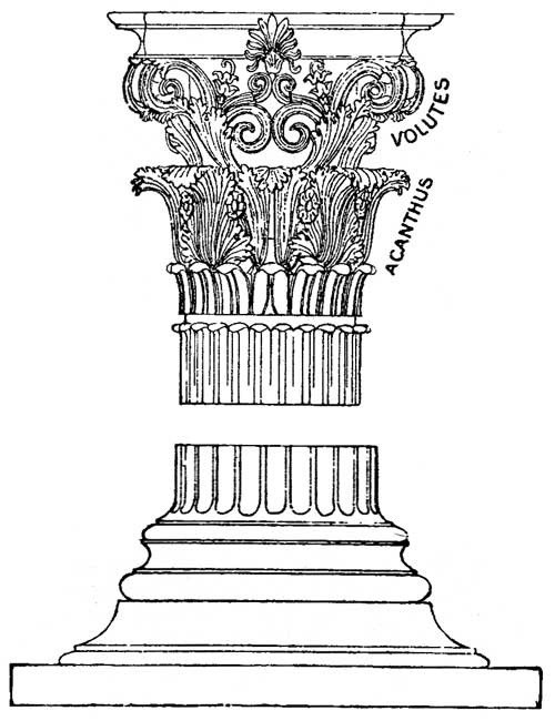 Buffalo Coloring Pages Buffalo Coloring Pages
