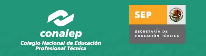 Conalep. Curso para la Elaboración del POA 2009