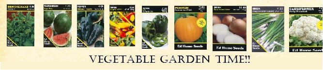 [Vegetable+gardentime.JPG]
