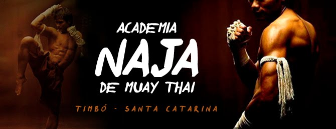 Academia Naja de Muay Thai - Timbó/SC