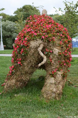 Creative Garden
