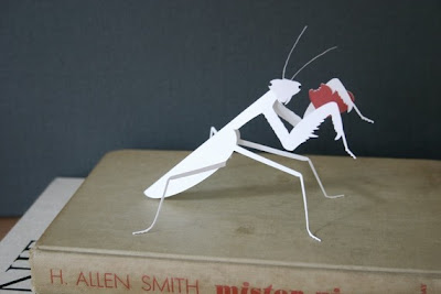 Cut Paper Praying Mantis Cut Paper Praying Mantis