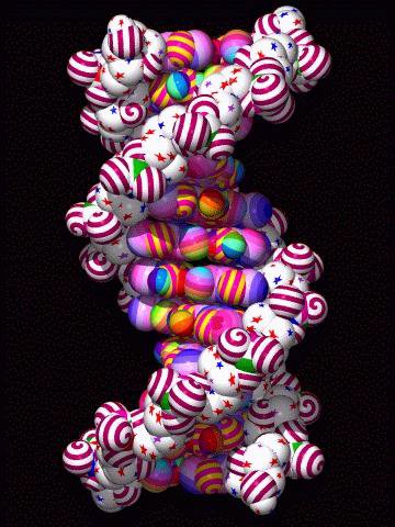 awesome dna models
