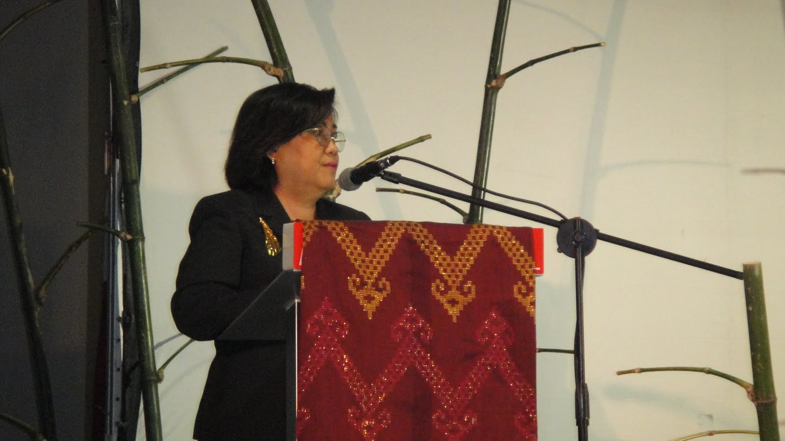 [IFAD+AP+Josie+Rose+Mabutas.JPG]