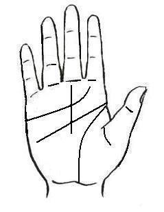 [à¸¥à¸²à¸¢à¸¡à¸·à¸­20.JPG]
