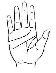 [à¸¥à¸²à¸¢à¸¡à¸·à¸­19.JPG]
