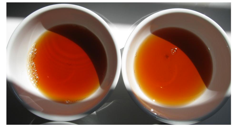 A Tasting A Day IDENTIFYING ASSAM VS. CEYLON visual clues