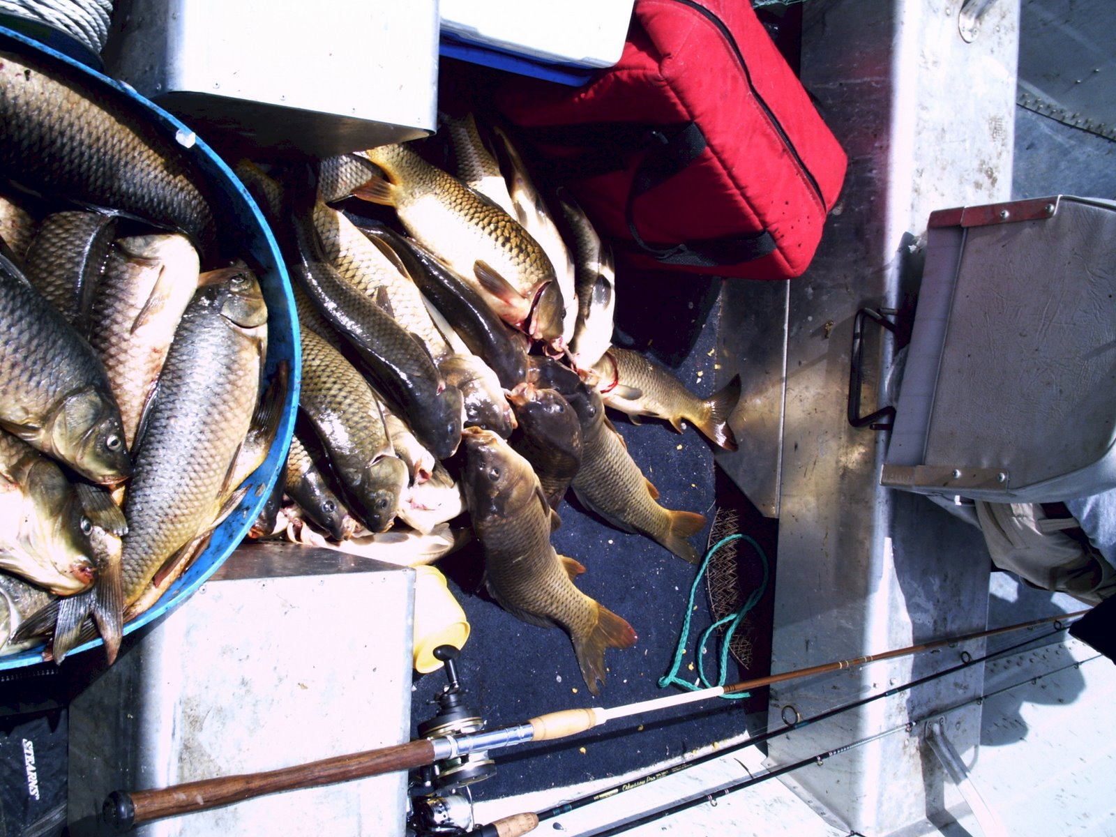 [Barrel+and+boat+full+of+fish.jpg]