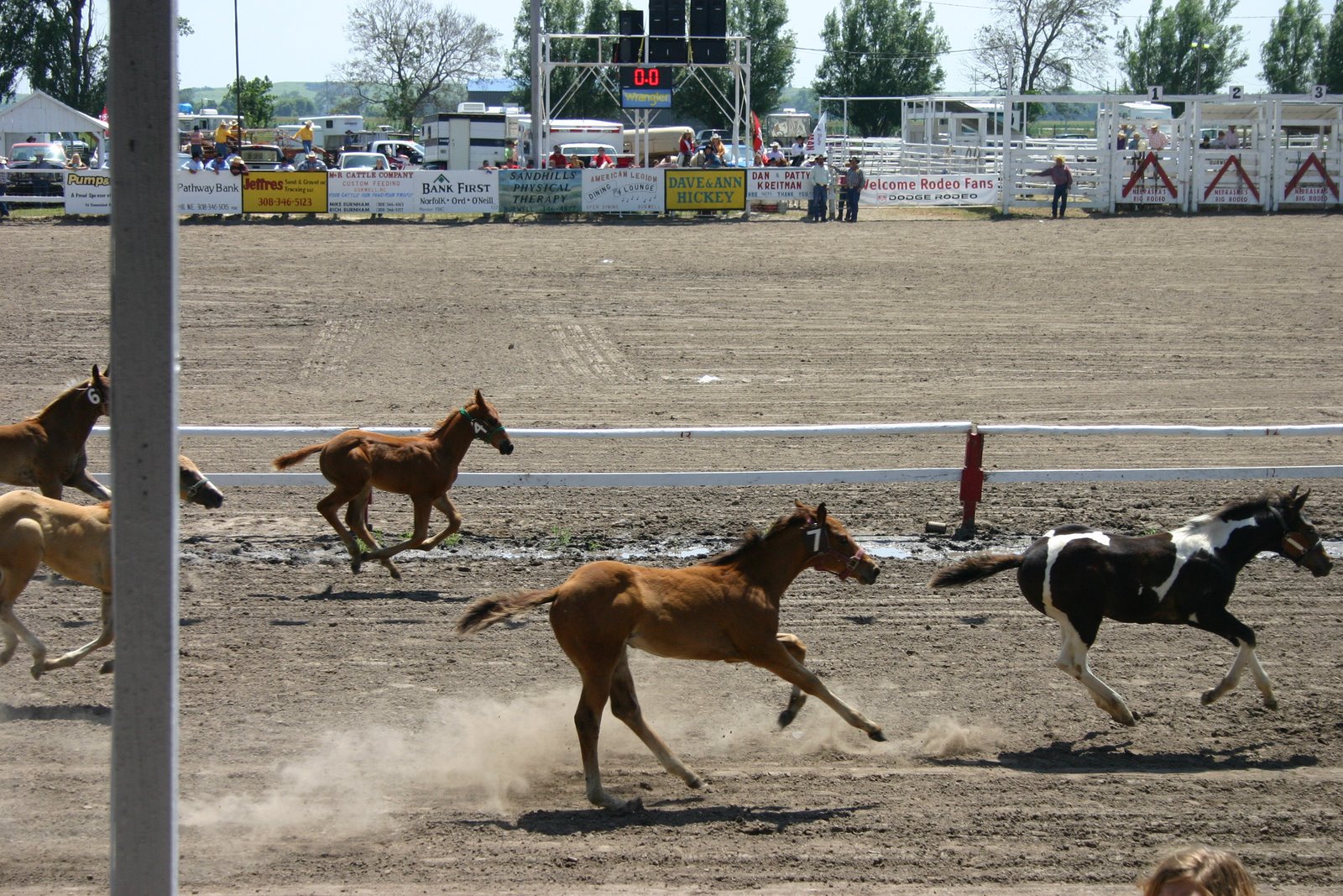 [IMG_2550.JPG]