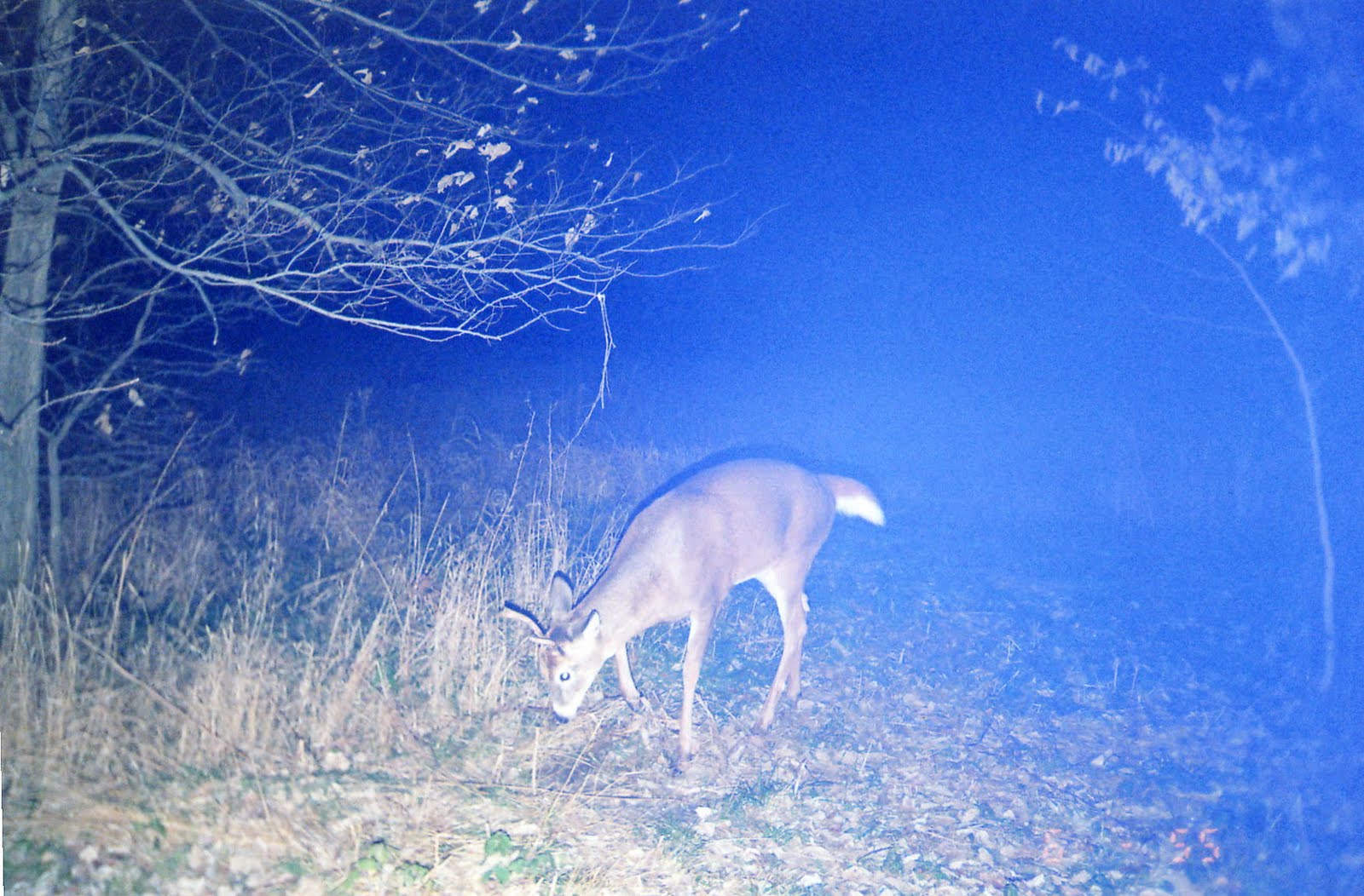 [File1161.jpg]
