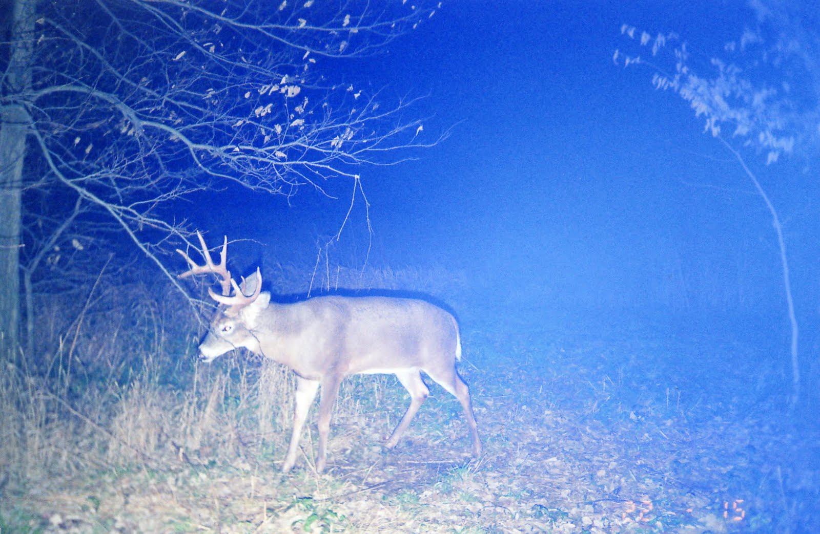 [File1164.jpg]