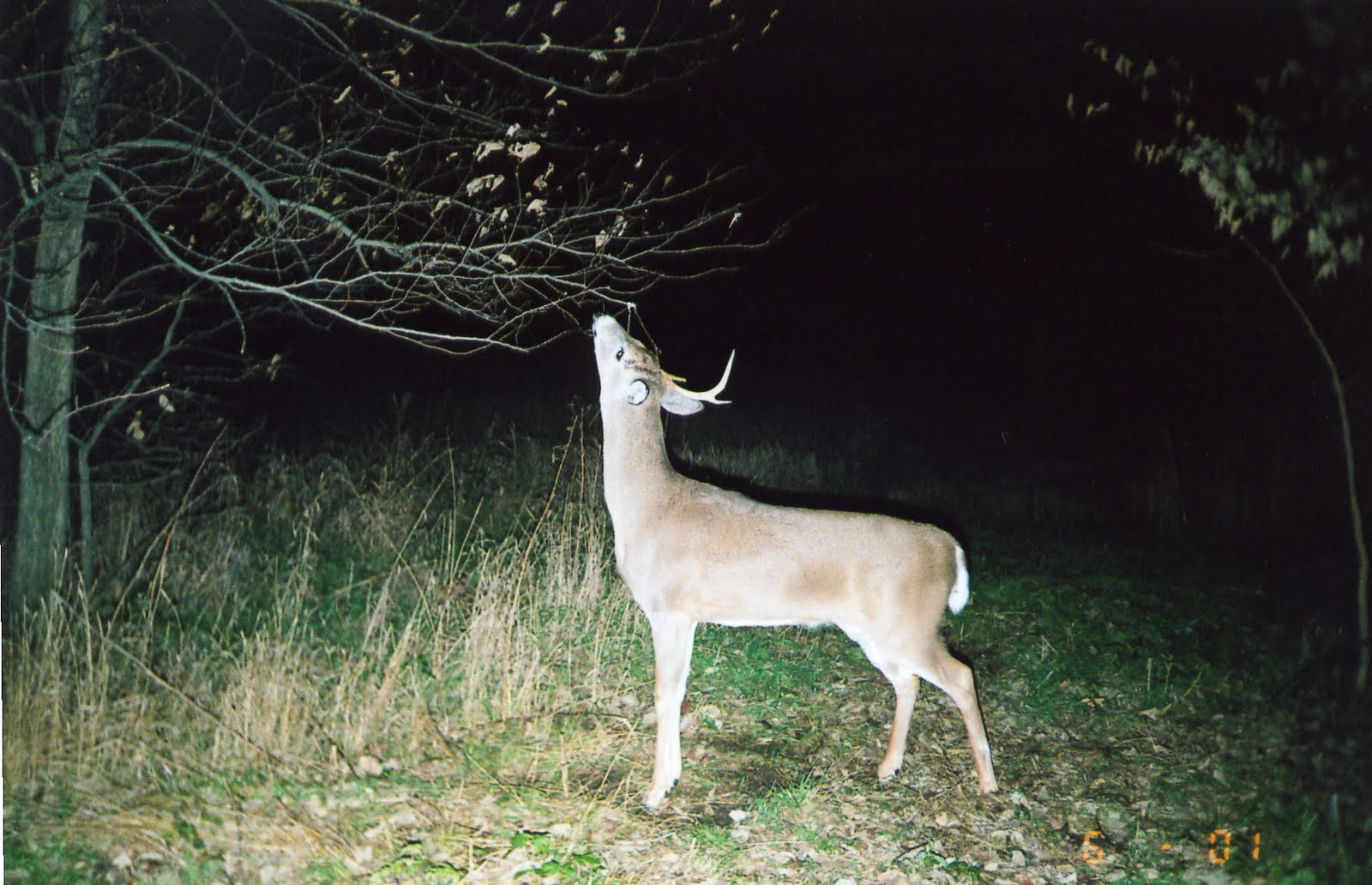 [File1163.jpg]