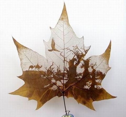 [Pictures-On-Leaves-06.jpg]