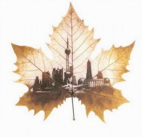 [Pictures-On-Leaves-10.jpg]