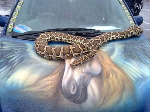 Car Tattoo (19 Pic's). Posted by admin on May 28, 2010 Car Tattoo (19 Pic's). Posted by admin on May 28, 2010