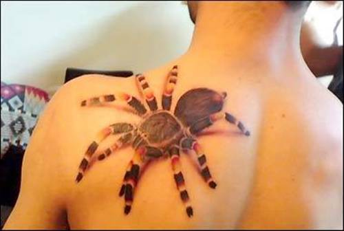 Aribal and Spider Tattoo on Chest and Arm Tattoo · Tribal Spider Tattoo 