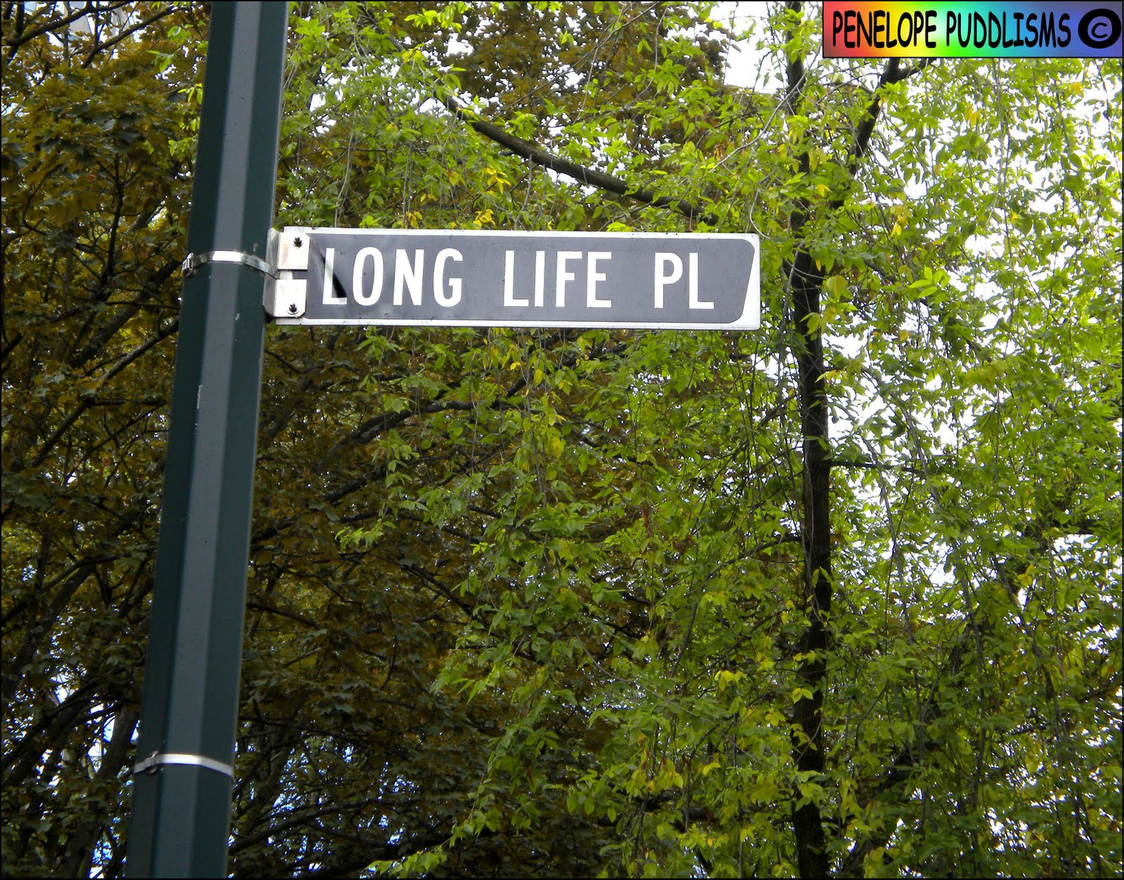 Long Life