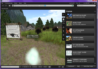 the Second Life viewer 2.