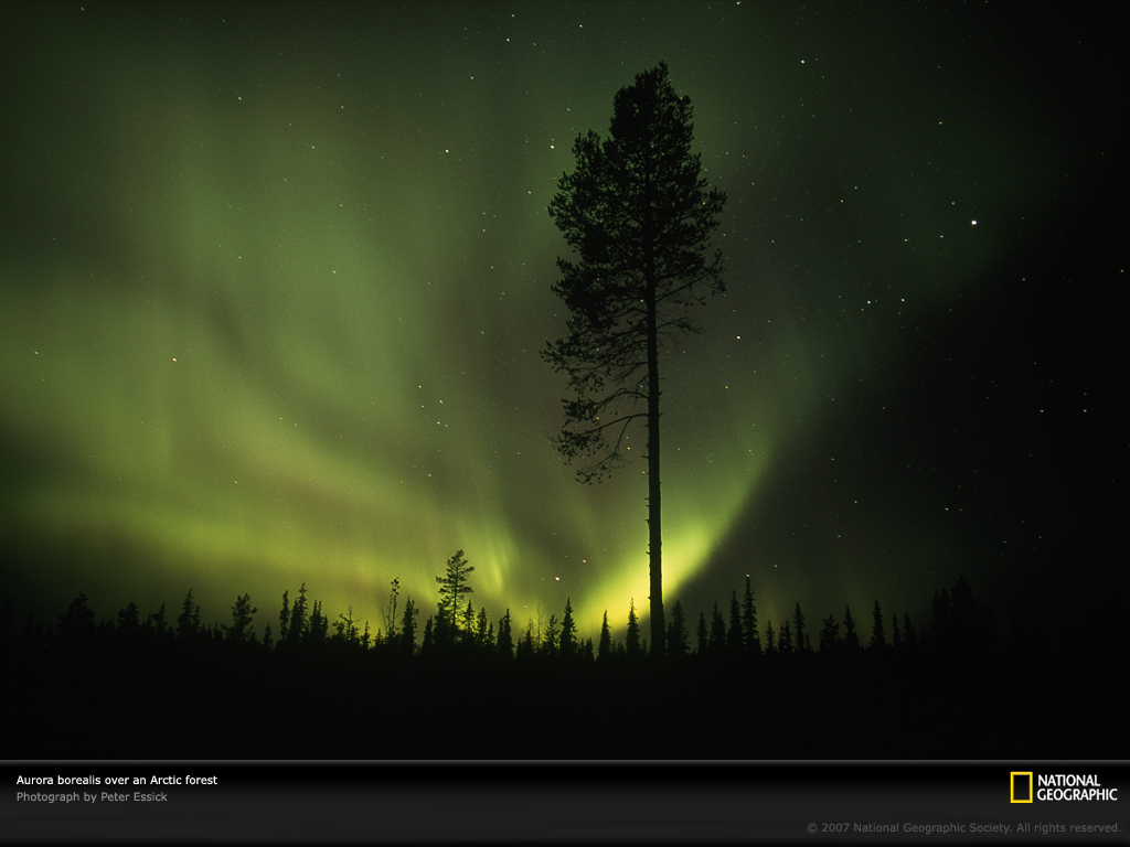 aurora-borealis-arctic-circle-701275-lw.jpg