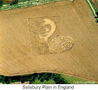 Planet Awakening: Crop Circles &amp; Cymatics : Frozen Music