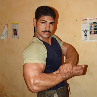 SEARCH AND BUY THIS PRODUCT world bodybuilders pictures: handsome egyptian beautiful