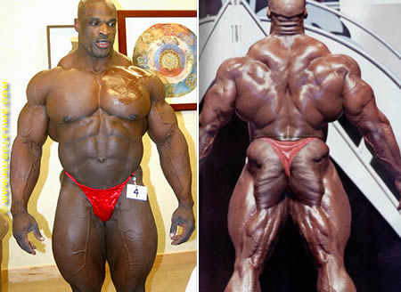world bodybuilders pictures: america bodybuilders photos