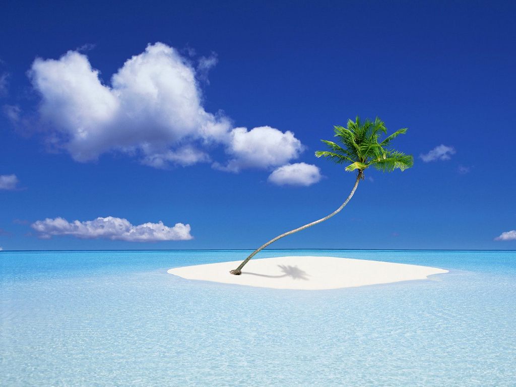 http://4.bp.blogspot.com/_34PE0ZEgM80/S8qOs3sc7qI/AAAAAAAAHGA/DchHyixfa-o/s1600/holiday+wallpaper+(4).jpg