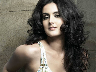 http://4.bp.blogspot.com/_34PE0ZEgM80/TMwuvLlnvMI/AAAAAAAAYoA/VASsD1nICR8/s320/tulip_joshi02_1024x768.jpg