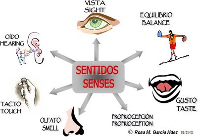 01_Dibujo_DE_LOS_SENTIDOS%5B1%5D.jpg
