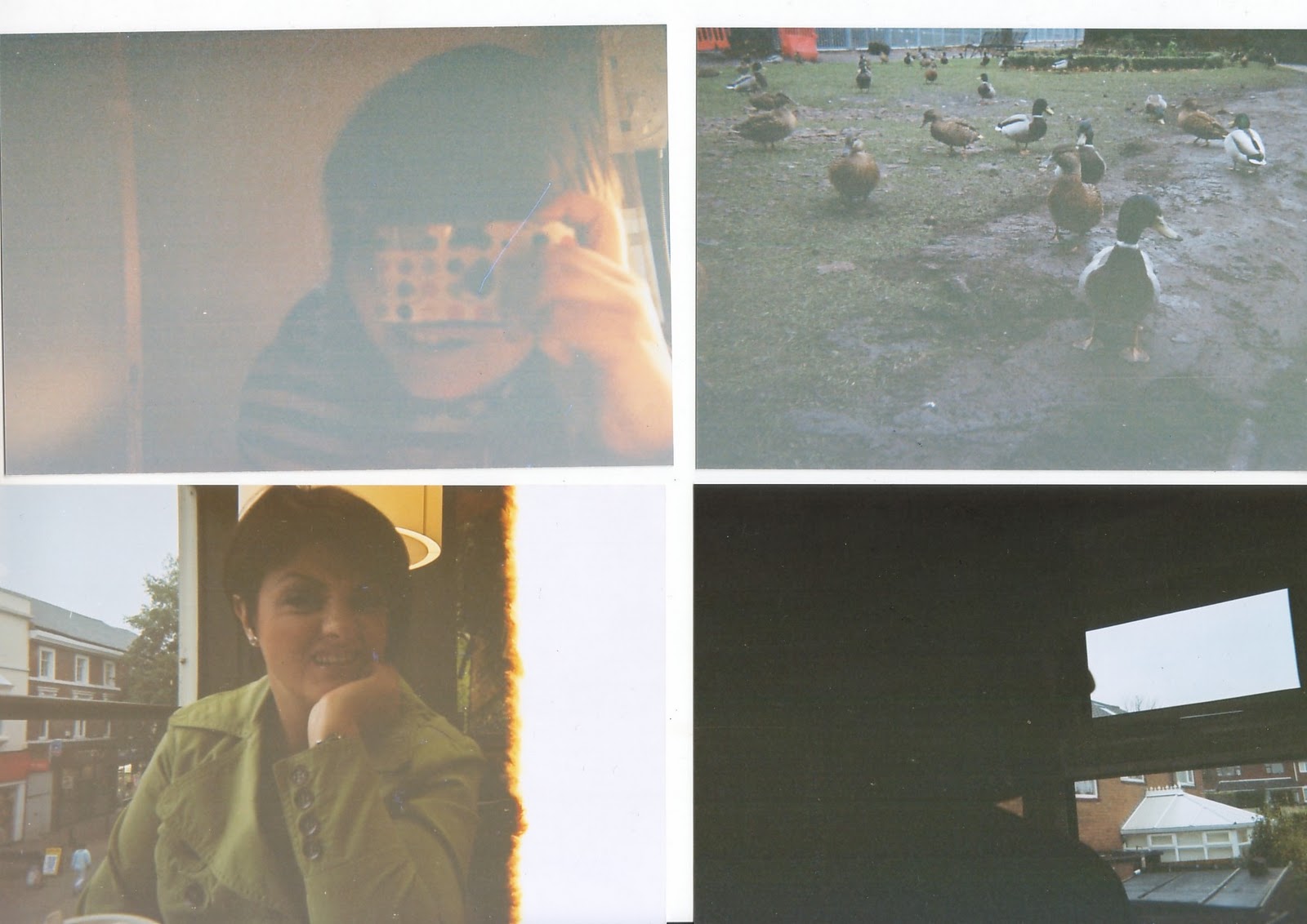 Investigation, Reflection and Expression Disposable Camera Results