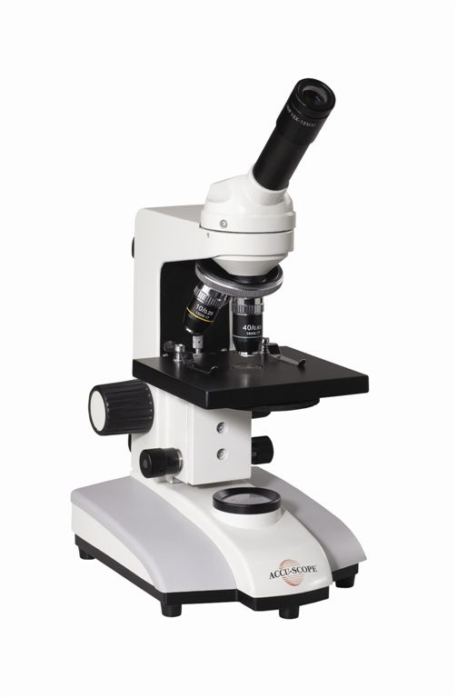 The Science and Technology Lady Which type of microscope should you