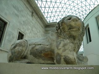 [DSCN2855.JPG]