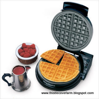 [International+WafflePro+Taste+_Texture+Select+Classic+Belgian+Waffle+Design.jpg]