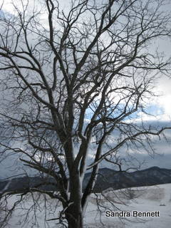 [IMG_0942.JPG]