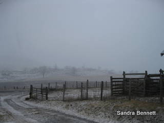 [IMG_1239.JPG]