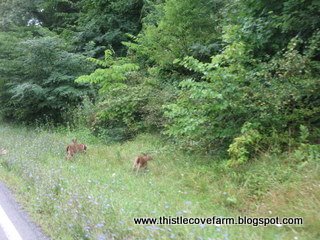[IMG_1907.JPG]