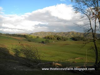 [DSCN1712.JPG]