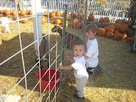 Pettin' some goats at the pumpkin patch