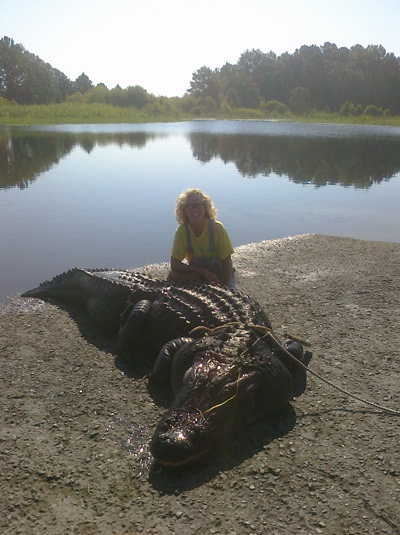 how much do alligator hunters get paid per foot