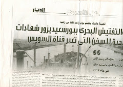 جريدة الديار فى 30/12/2008