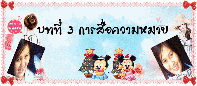 บทที่ 3 การสื่อความหมาย