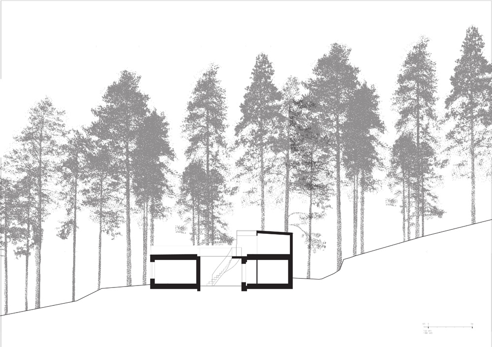 Section Drawing Architecture