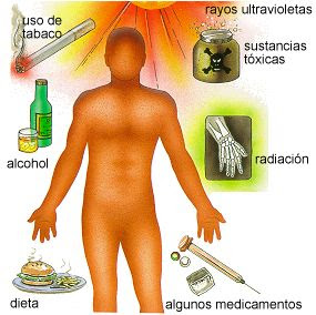ebola ebola