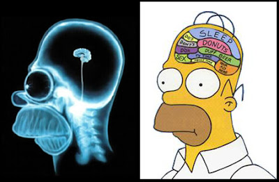 external image HomerSimpsonsBrain.jpg